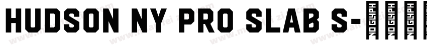 Hudson NY Pro Slab S字体转换